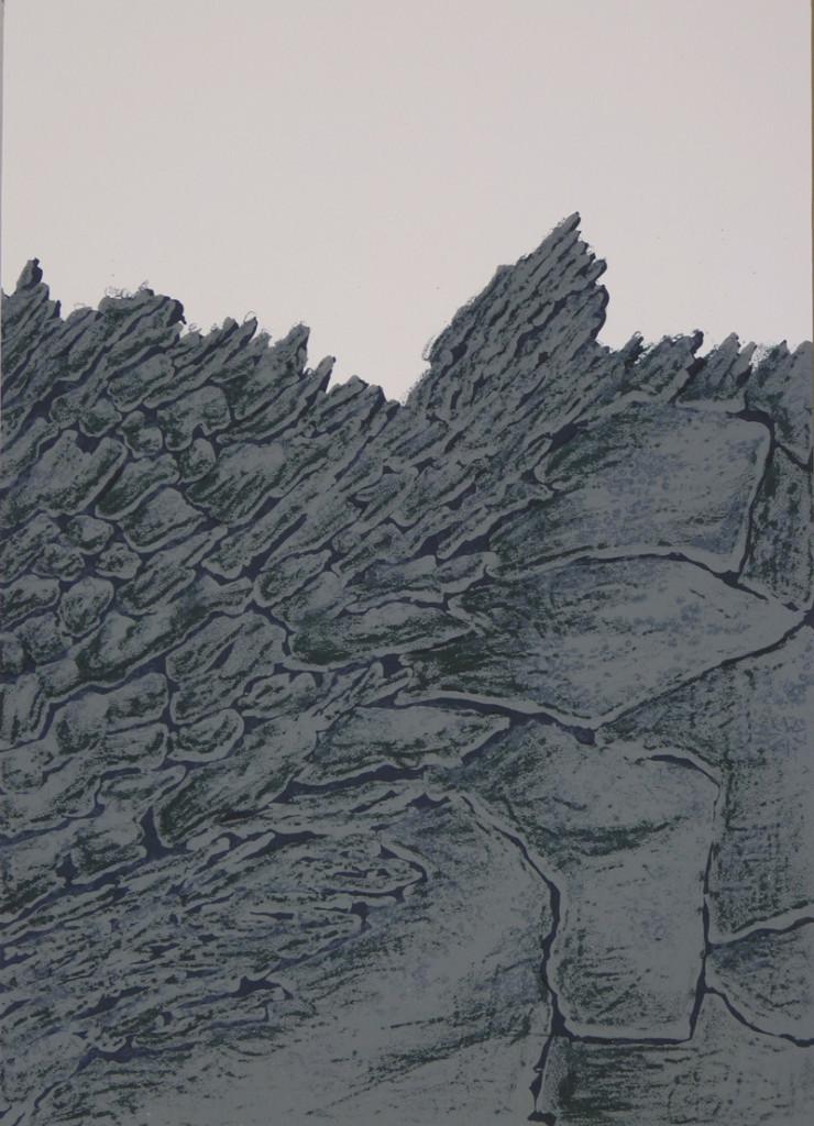 afd - Aberystwyth printmakers at Art at Wharepuke NZ