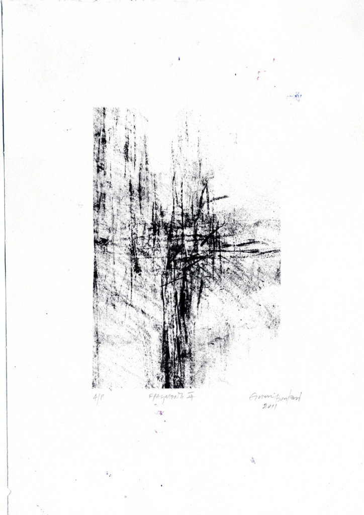 eirini boutasi 'fragmenti 3' lithograph- Aberystwyth printmakers at Art at Wharepuke NZ-
