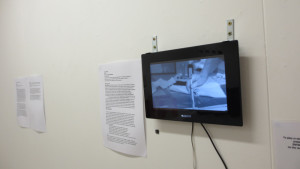 Beyond Words Art at Wharepuke NZ Gallery