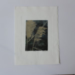 Print Arts Northwest in NZ