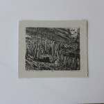 Print Arts Northwest in NZ
