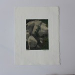 Print Arts Northwest in NZ