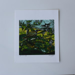 Print Arts Northwest in NZ