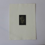 Print Arts Northwest in NZ