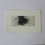 Print Arts Northwest in NZ