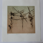 Print Arts Northwest in NZ
