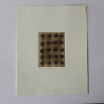Print Arts Northwest in NZ