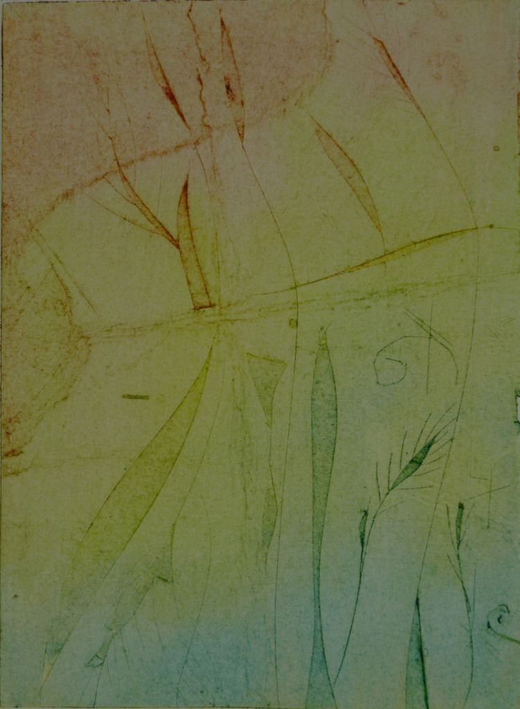 j hemmings Aberystwyth printmakers at Art at Wharepuke NZ